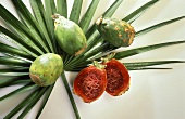 Prickly Pears; One Cut in Half