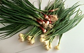 Red and White Spring Onions