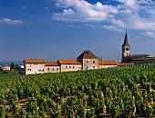 Der Weinort Chenas, einer der Beaujolais Cru's, in Burgund