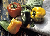Fruchtgemüse: Gelbe, grüne & rote Paprika