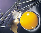 Raw Egg Yolk with Pieces of Brown Egg Shell; Wisks