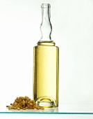 A Bottle of Corn Oil with Corn Kernels