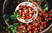 Gezuckerte Erdbeeren im Schälchen & viele frische Erdbeeren