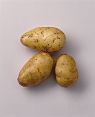 Drei Kartoffeln - Hansa