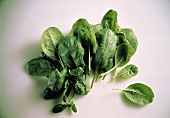 Freshly Washed Spinach Leaves