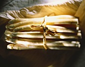 A Tied Bundle of White Asparagus