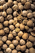 Several Walnuts; Whole and Shelled