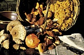 Basket Full of Wild Mushrooms