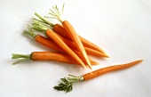 Freshly Peeled Carrots