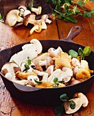 Many Assorted Mushrooms in a Cast Iron Skillet