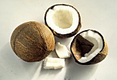 Kokosnüsse, eine ganz & eine geöffnet