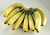Large Bunch of Bananas