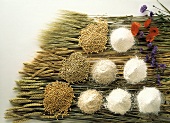Grains in all Stages; Ears and Grains; Flour