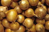 Many Onions