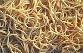 Cooked spaghetti, close-up