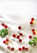 Many Cherries with Stems