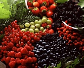 Still life with various berries (close-up)