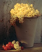 White Currants in a Clay Pot