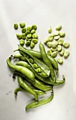 Thick Green Beans with Peas