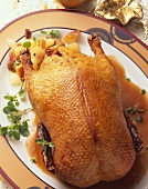 Stuffed duck