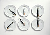 Sechs Sardinen, jede auf einem weißem Teller