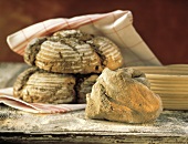 Sauerteig & zwei Korianderbrote (aus Sauerteig)