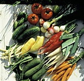 Fresh Garden Vegetables