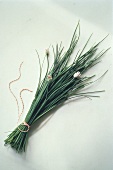 A Bundle of Fresh Chives with Flowers