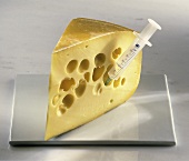 A Wedge of Emmenthal Cheese with Injection Needle