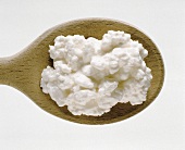 Cottage Cheese on a Wooden Spoon