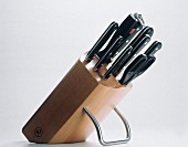 Knife Block with Assorted Knives