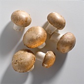 Six Whole Mushrooms