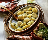 Herb potato gratin in gratin dish