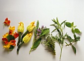Various herbs, nasturtium flowers and courgette flowers