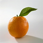 Eine Orange mit Blatt