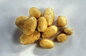 Many Freshly Washed Potatoes
