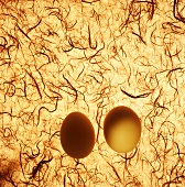 Two brown eggs on Japanese paper