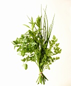 Herb bouquet: fines herbes
