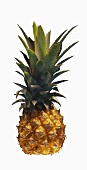 A Single Whole Pineapple