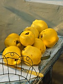 Quinces on wooden table with wire basket