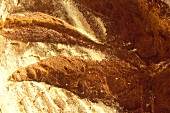 White bread (close-up)