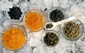 Many Assorted Types of Caviar
