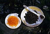 Beluga Caviar and Keta Caviar