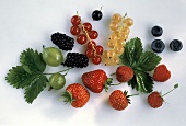 Different Types of Fresh Berries