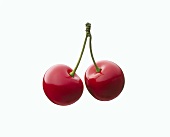 A pair of cherries