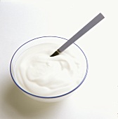 Natural yoghurt with spoon in small bowl