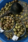 Grüne eingelegte Oliven in Blechnäpfen & blauer Schüssel