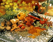 Still Life of Many Exotic Spices