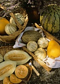 Stillleben mit verschiedenen Melonen in Körben & Lavendel