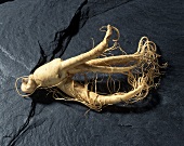 A ginseng root on grey stone background
